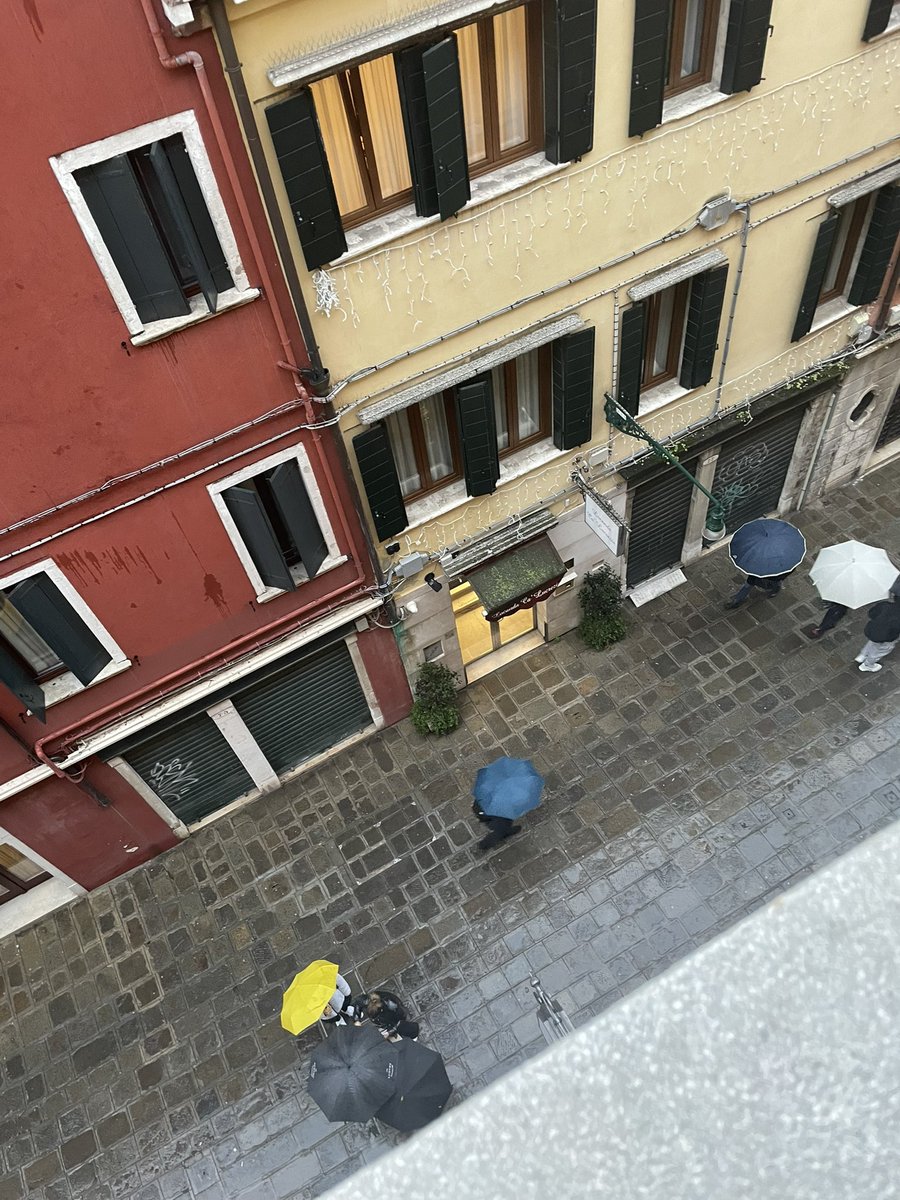 ミアミアキャット tweet media