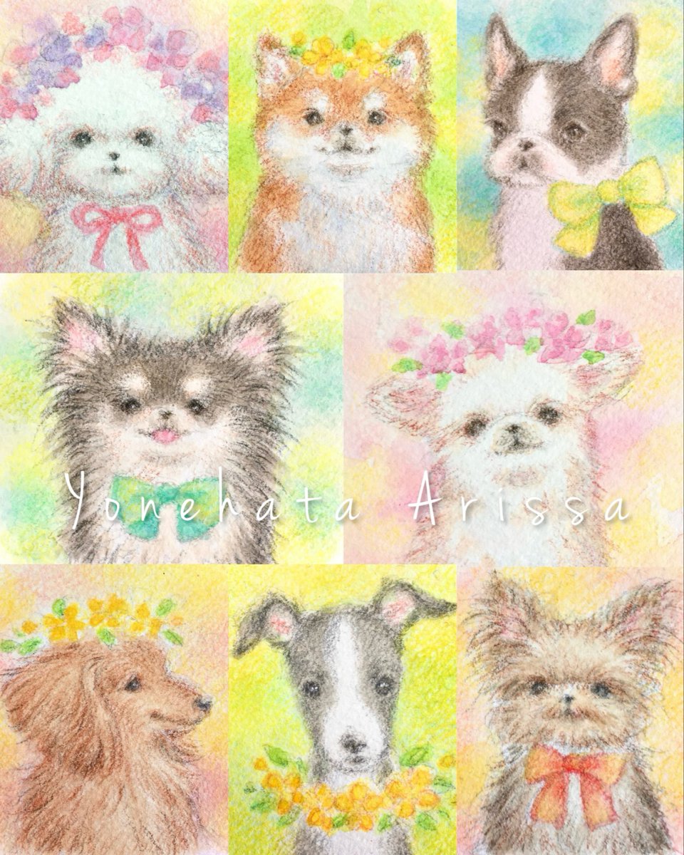 米畑有紗 tweet media