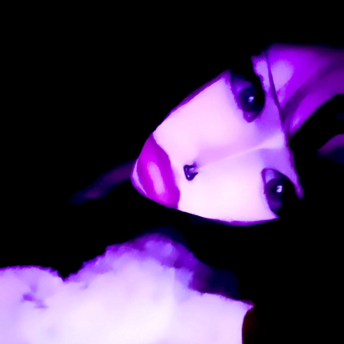 Lea 👽 tweet media