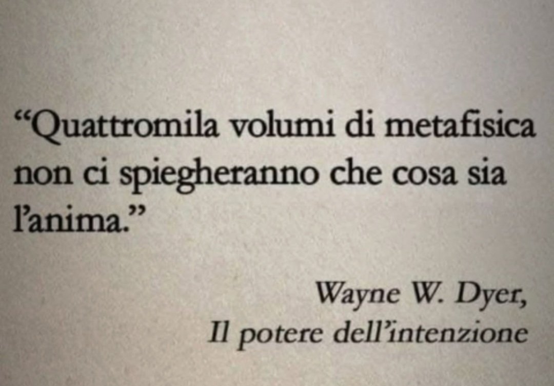 Chat Noir tweet media