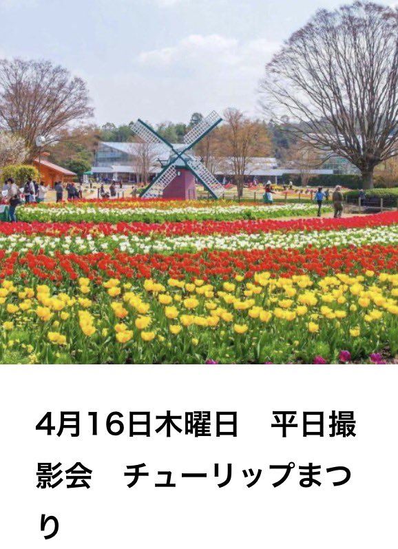 AiRi🐶♥️Bellefemme撮影会 tweet media