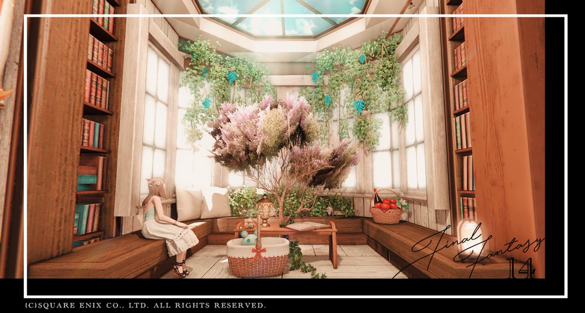 さなお🐸 tweet media