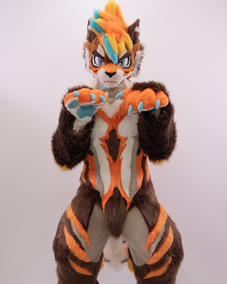 Kovu 🇧🇻 tweet media