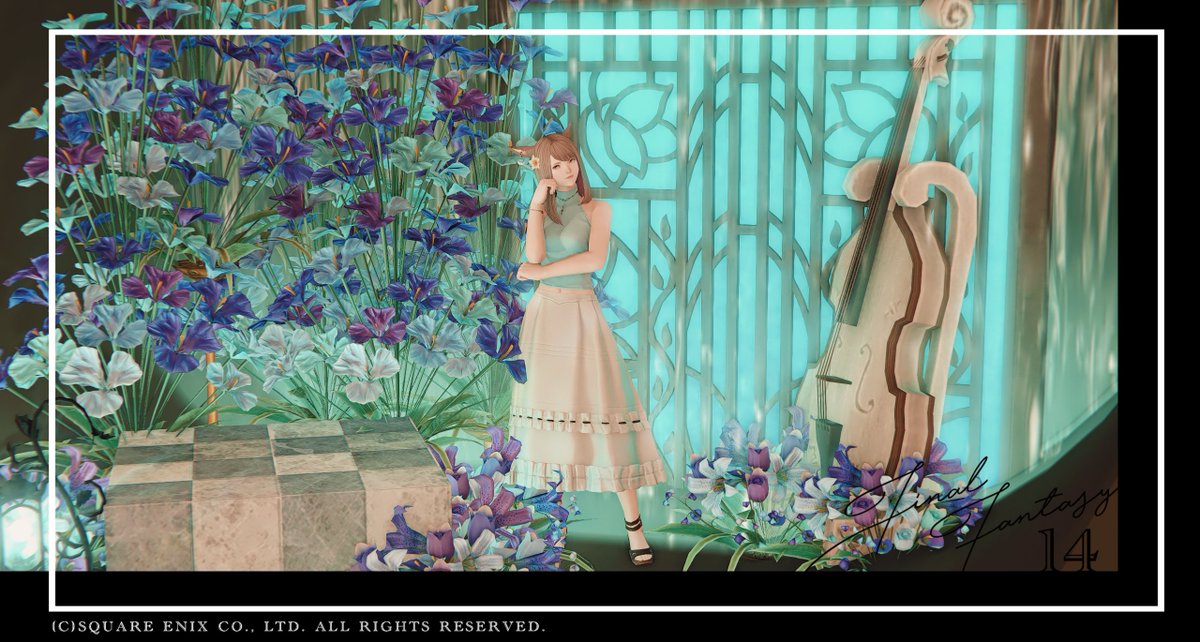 さなお🐸 tweet media