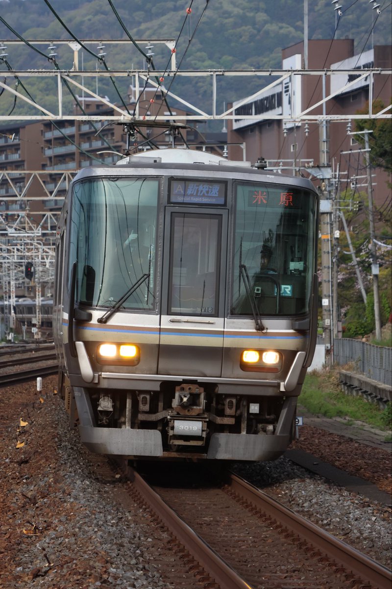 トレナビ tweet media