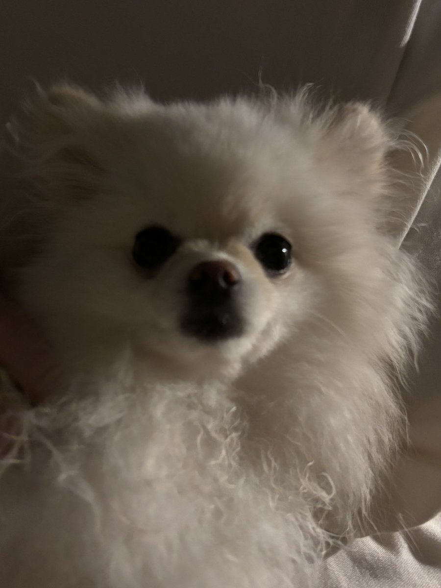 きさだ@本垢凍結しました💦 tweet media