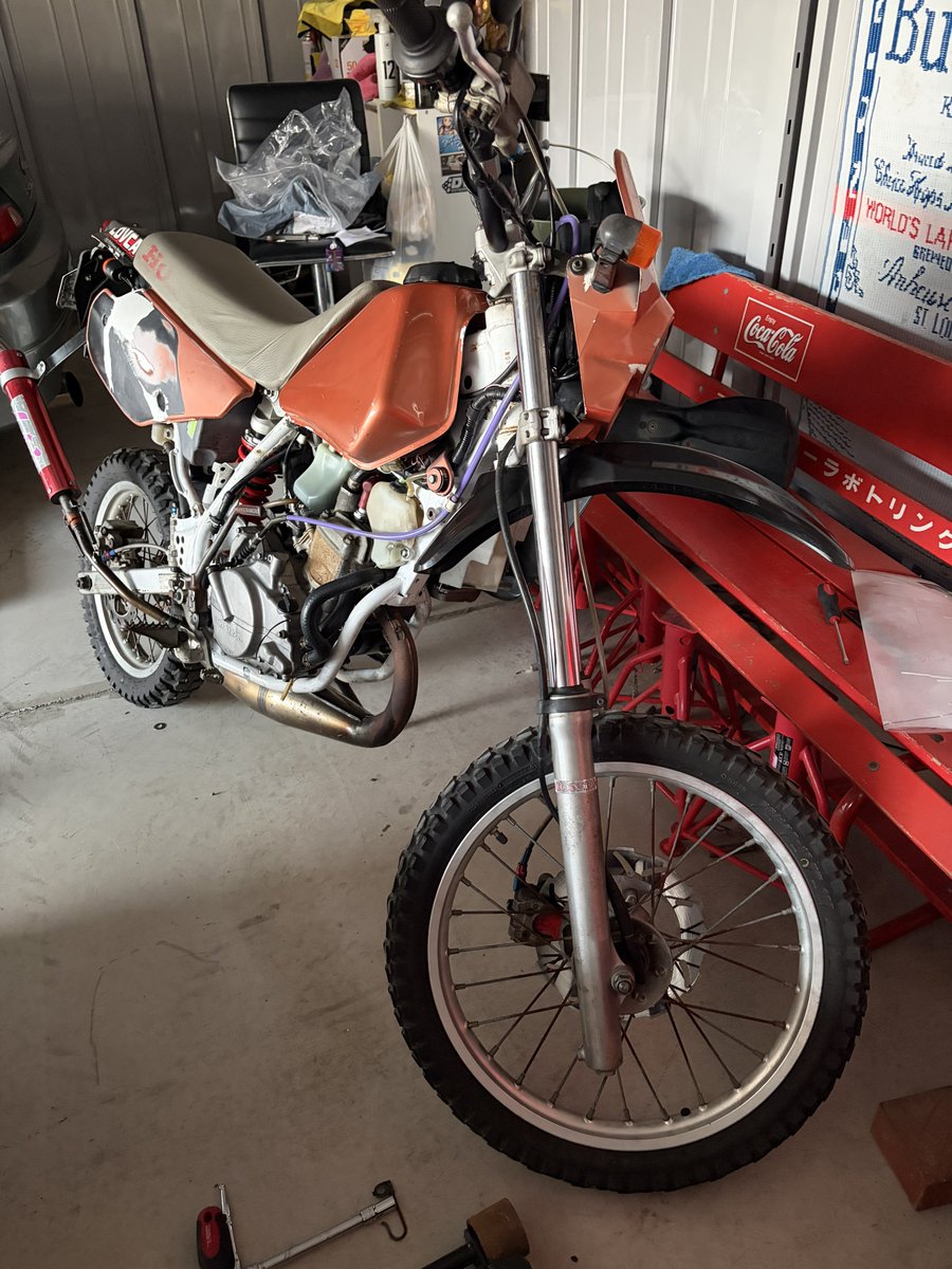 パナみき🐱 tweet media