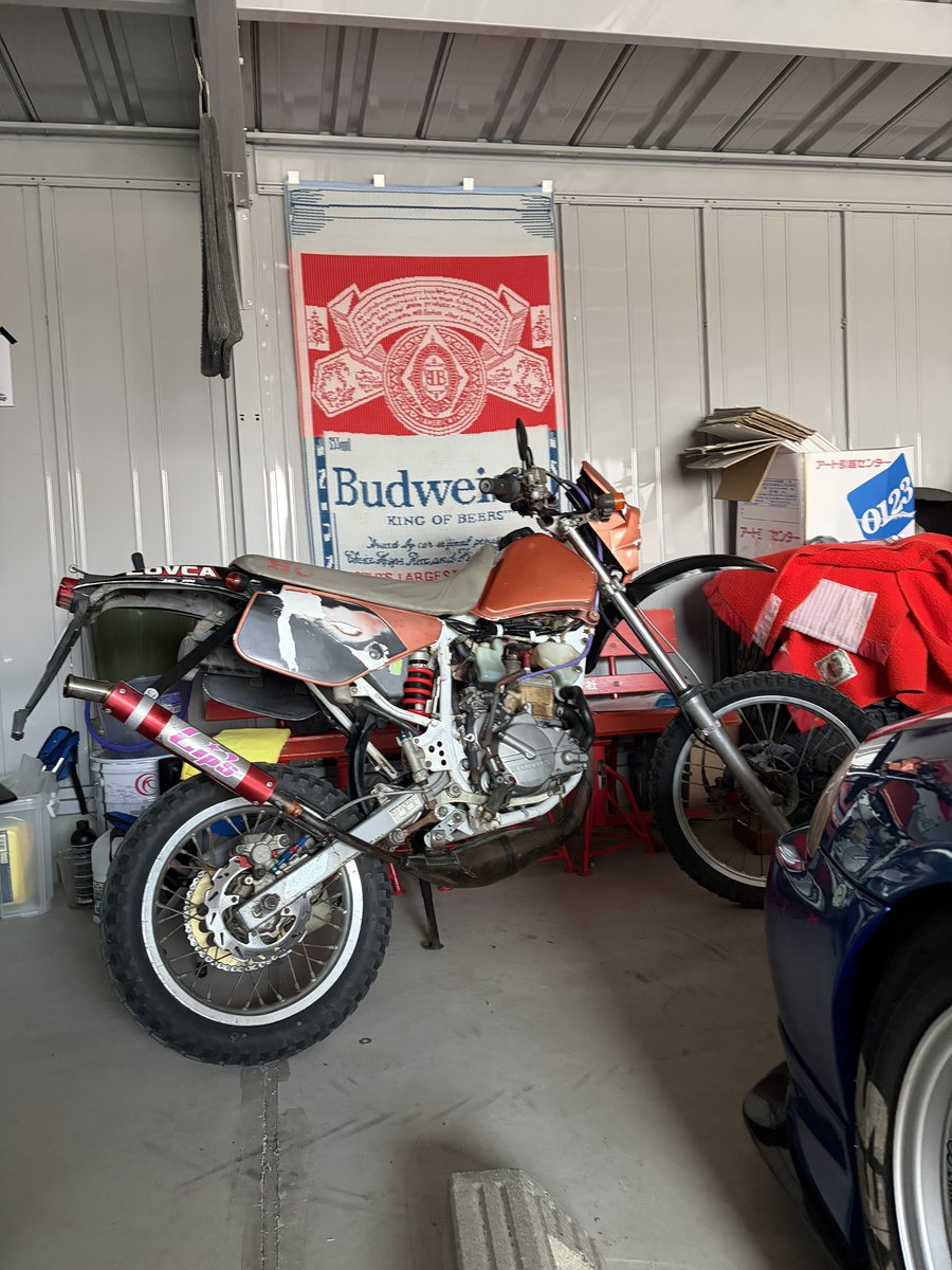 パナみき🐱 tweet media