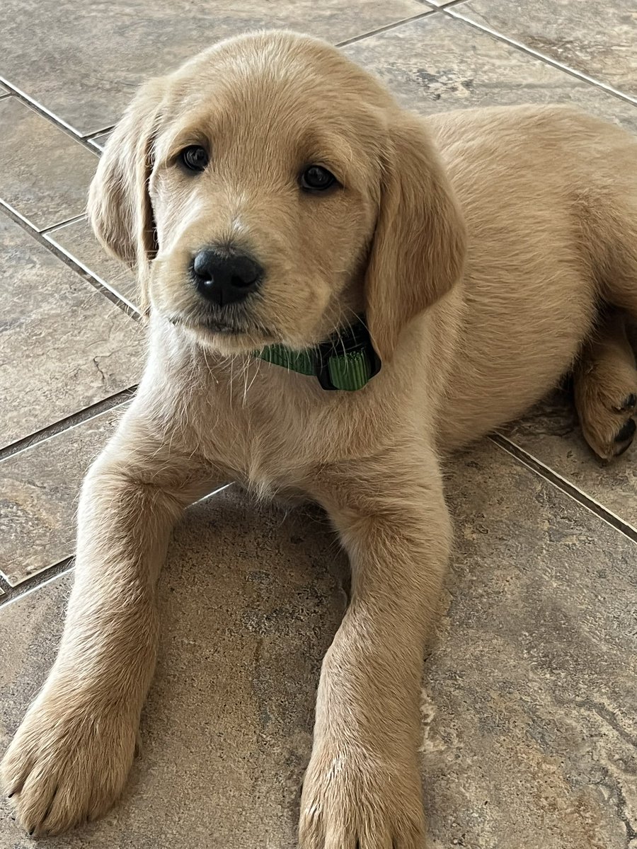 x - Bon ‘eh 2.0 🇨🇦 tweet media