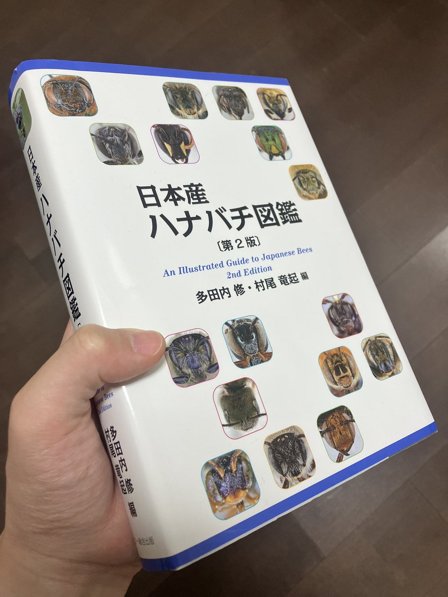 日本産ハナバチ図鑑 ヨドバシ.com 【公式通販】