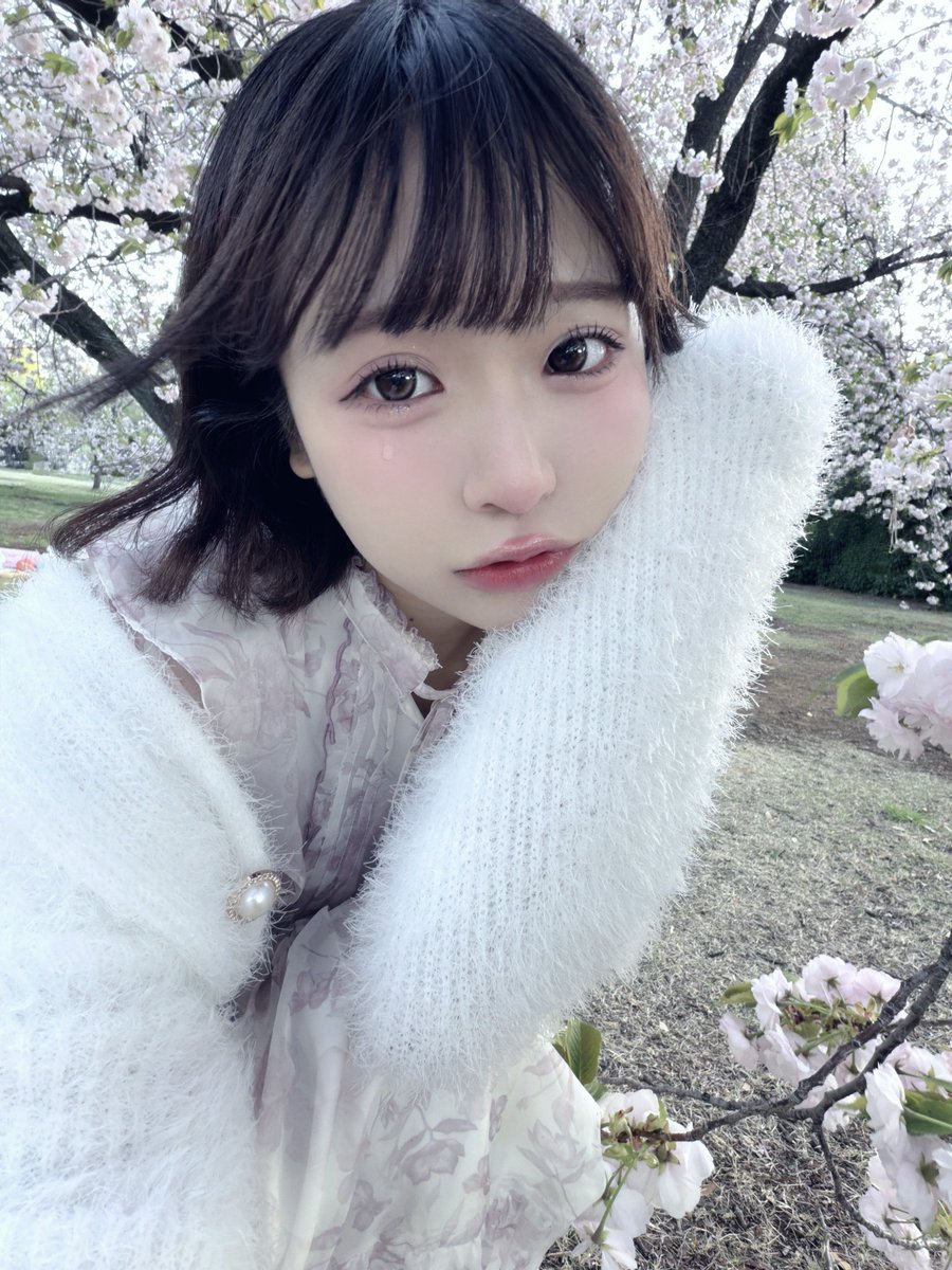 春日さくら tweet media