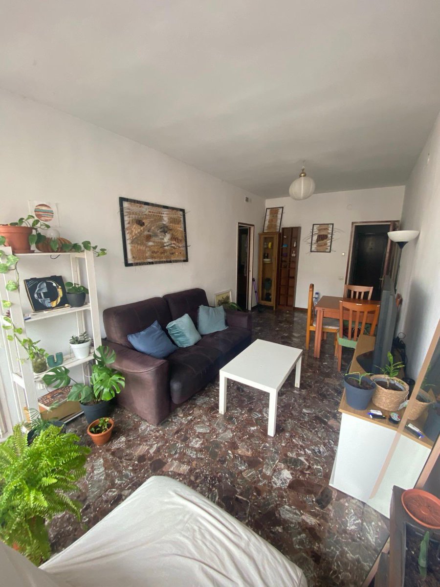 Veganoyo 🌱 tweet media