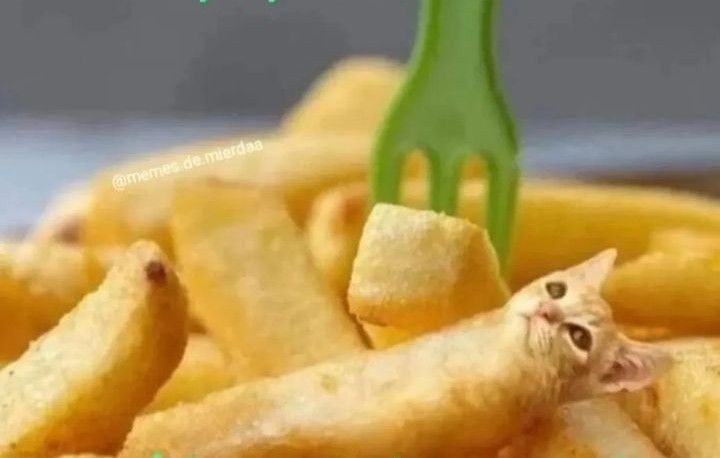 hantavirus tweet media