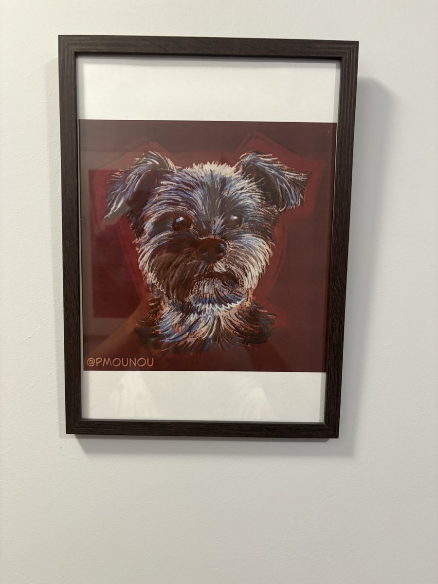 belge_sympa's tweet image. Encore 10000 mercis @PMounou ❤️😘🐶🕊️🙏🙏🙏