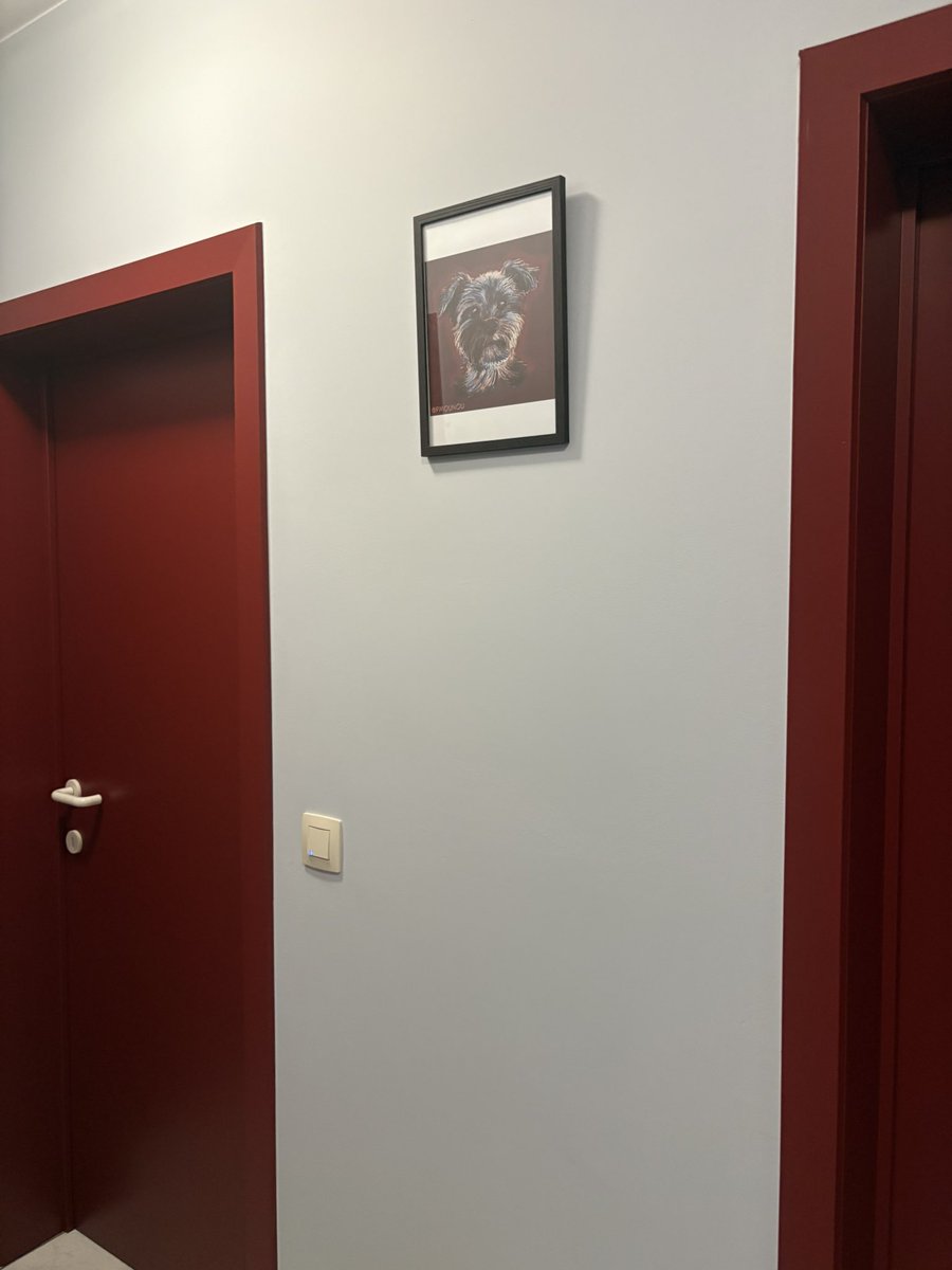 belge_sympa's tweet image. Encore 10000 mercis @PMounou ❤️😘🐶🕊️🙏🙏🙏