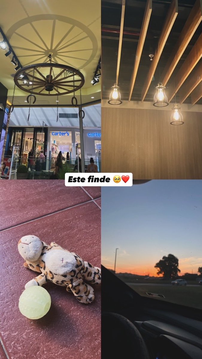 Cecii Furtado tweet media