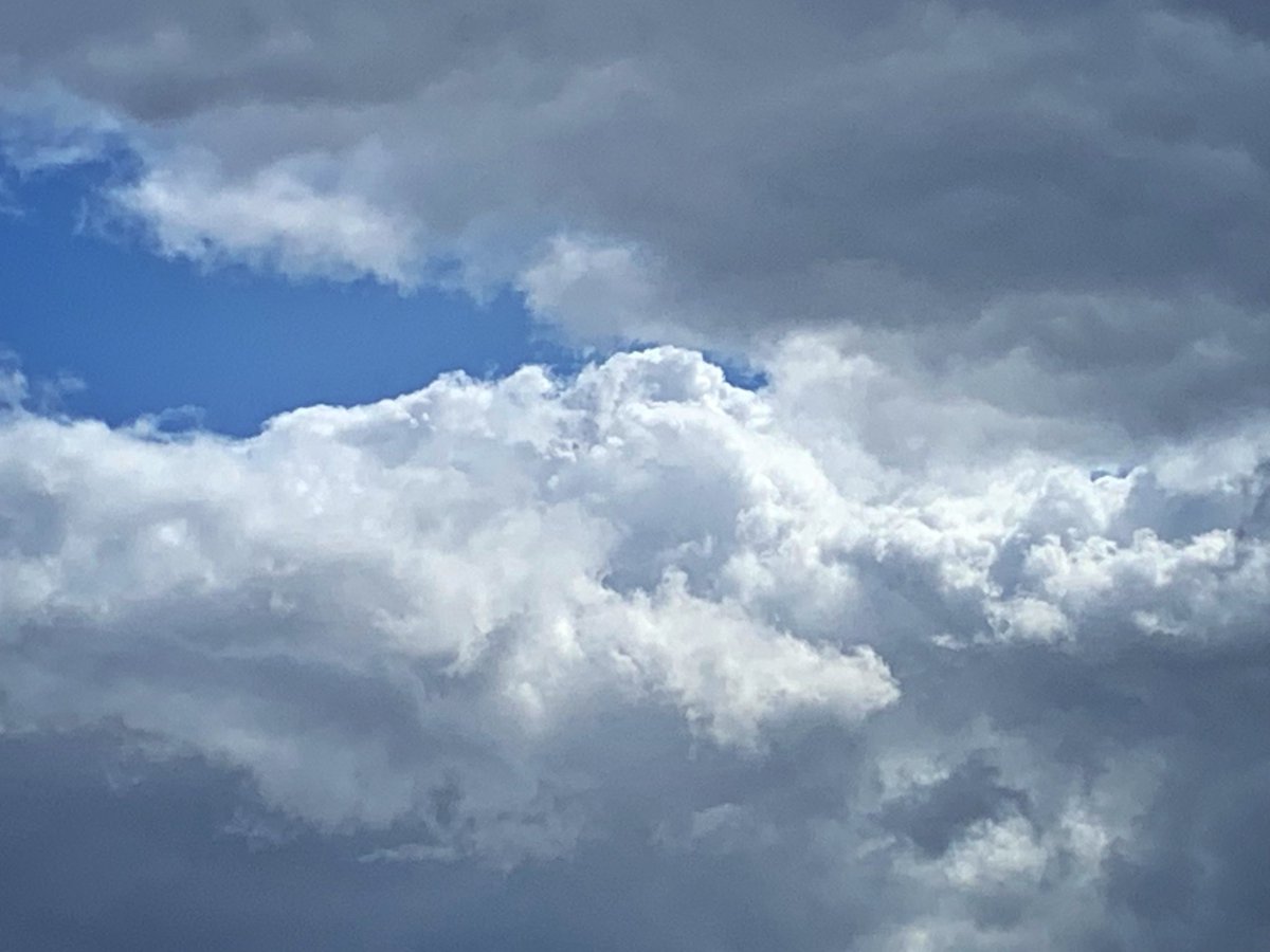 ruths_gallery's tweet image. Incredible rain clouds over Twickenham but no rain yet… 

I see flying creatures in 1

A fox’s face in 2

A large face in the dark cloud in 3

And a snow topped mountain in 4

Yes, I have a vivid imagination

#clouds #twickenham @SallyWeather #thames #loveUKweather @CloudAppSoc