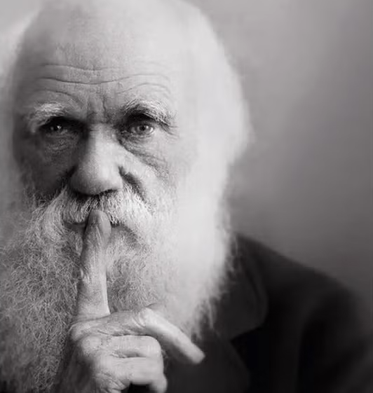 Noirspectre tweet media