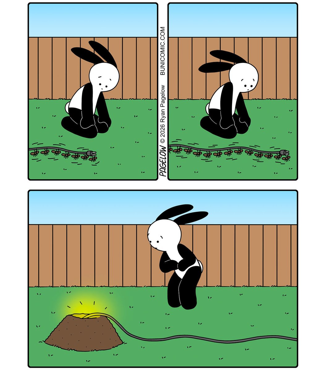 Buni tweet media