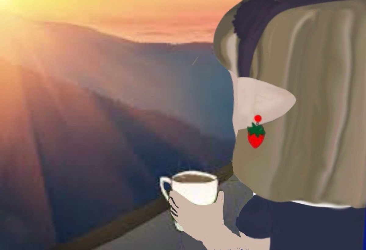 Tea čozy 🍊 tweet media