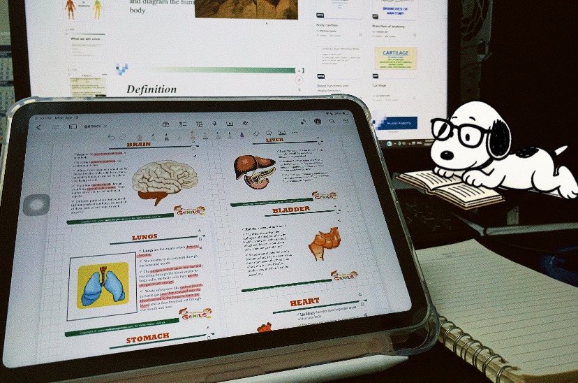 hanni ⋆˚꩜｡ tweet media