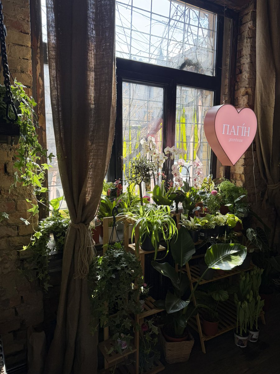 тред, які рослинки вартістю до 500 гривень ми маємо в крамничці 💕

доставка поштою по Україні, самовивіз/доставка на таксі з Подолу (Турівська, 19) 

родинам військових та ветеранів знижка -15%