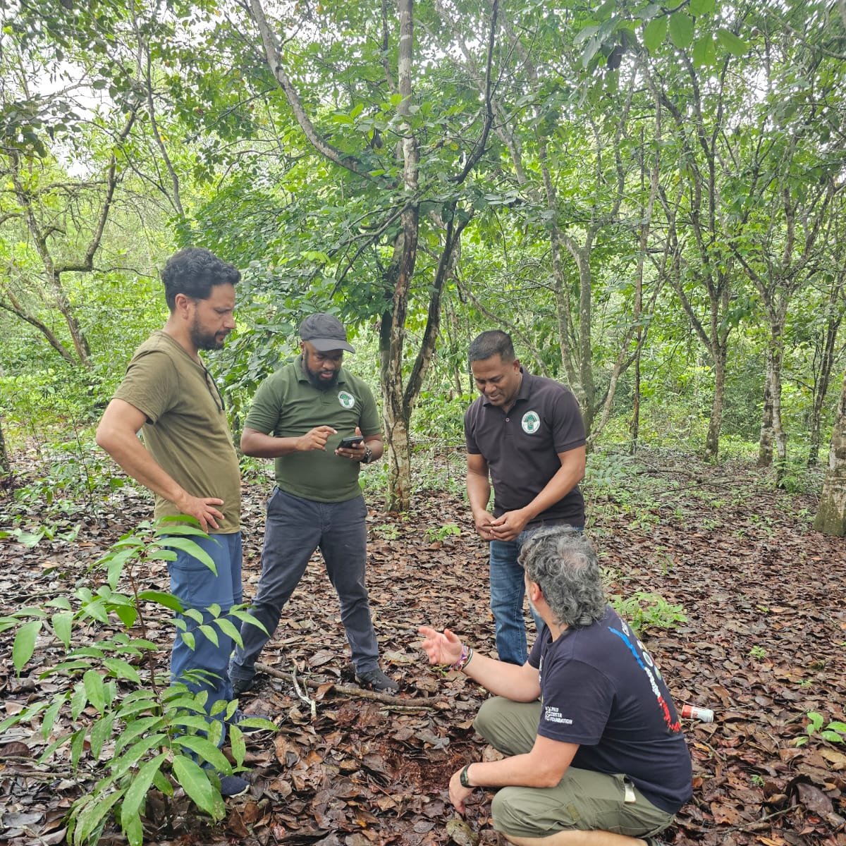 Pau Costa Foundation tweet media