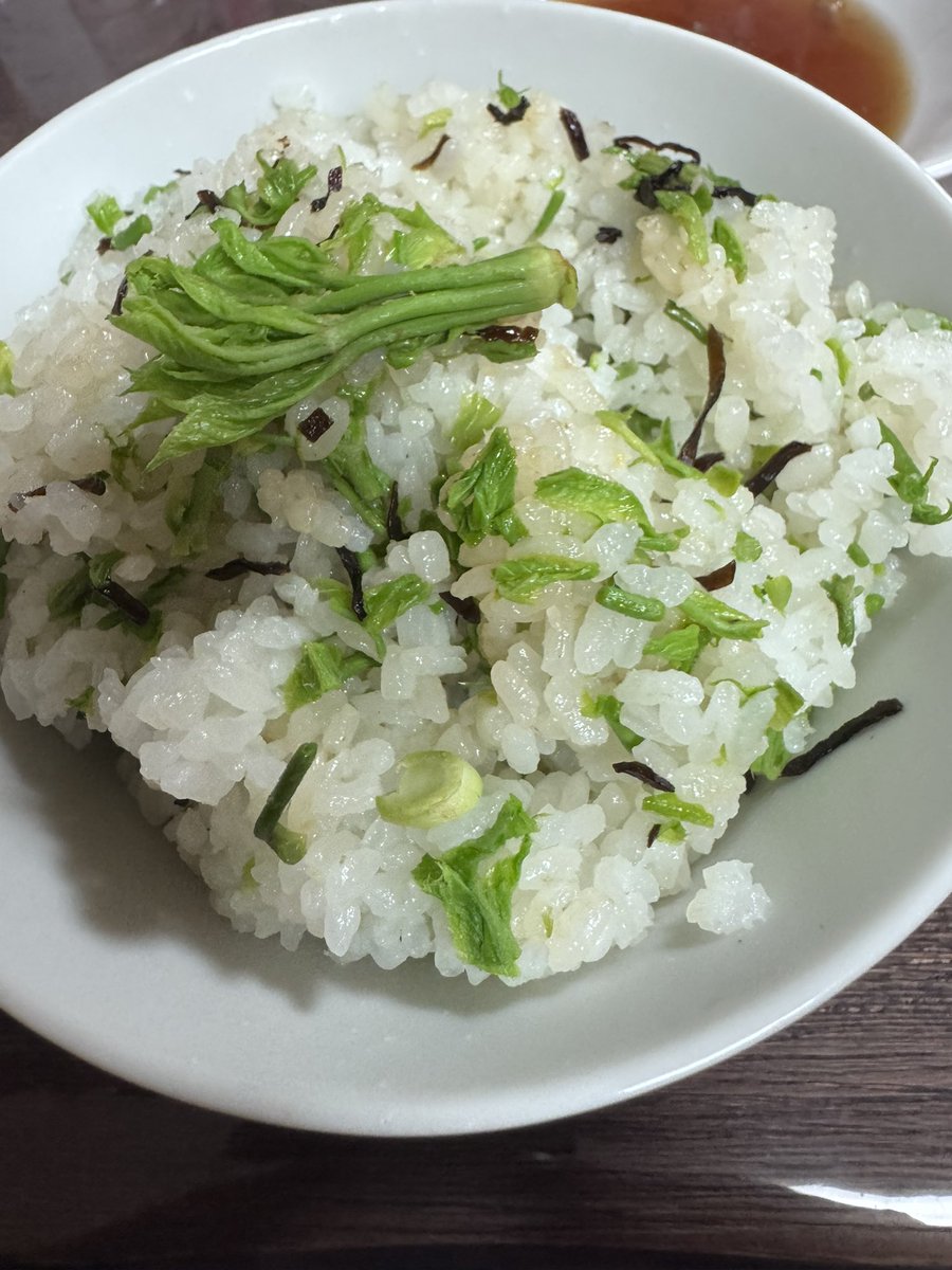 ぷん 🐕🐕🐈🐈🐈🐈‍⬛🍺🍶🍖🏍 tweet media