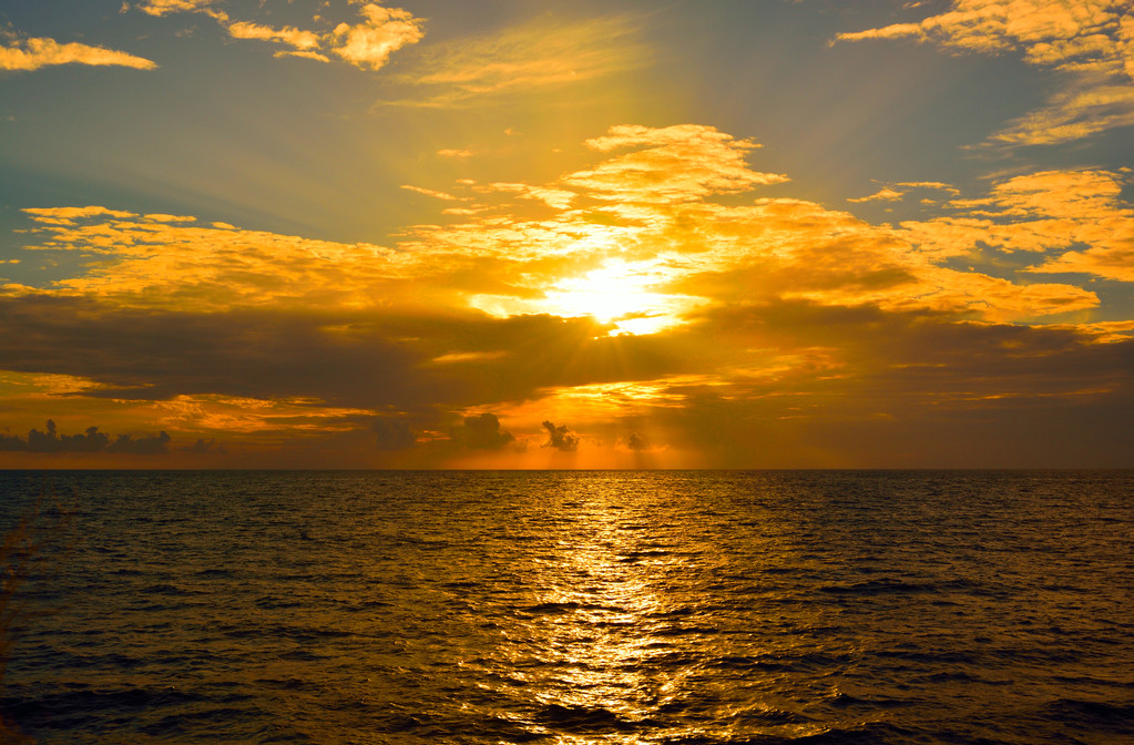 JackieJolly tweet media