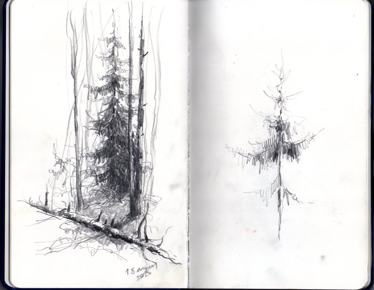 лиза ленсе tweet media