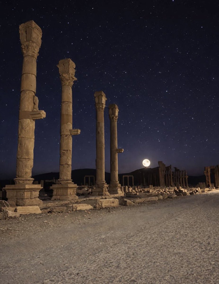 Palmyra pinterest tweet media