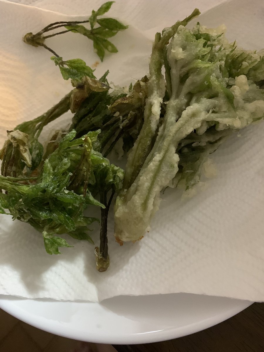 ねむにゃむ tweet media