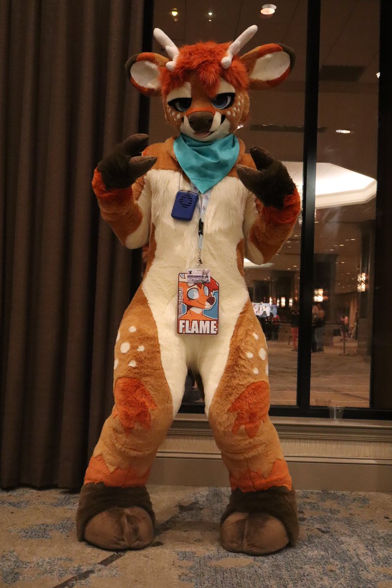 flame ➡️ FWA tweet media