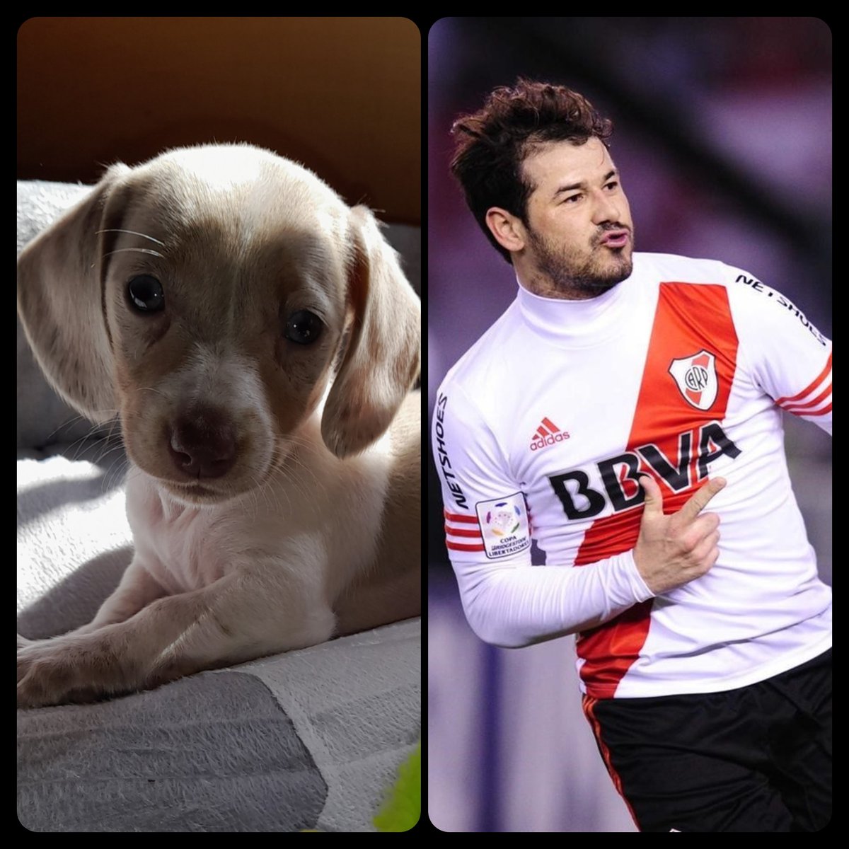 Ella es "Mora" como El 😁🤍❤️🤍