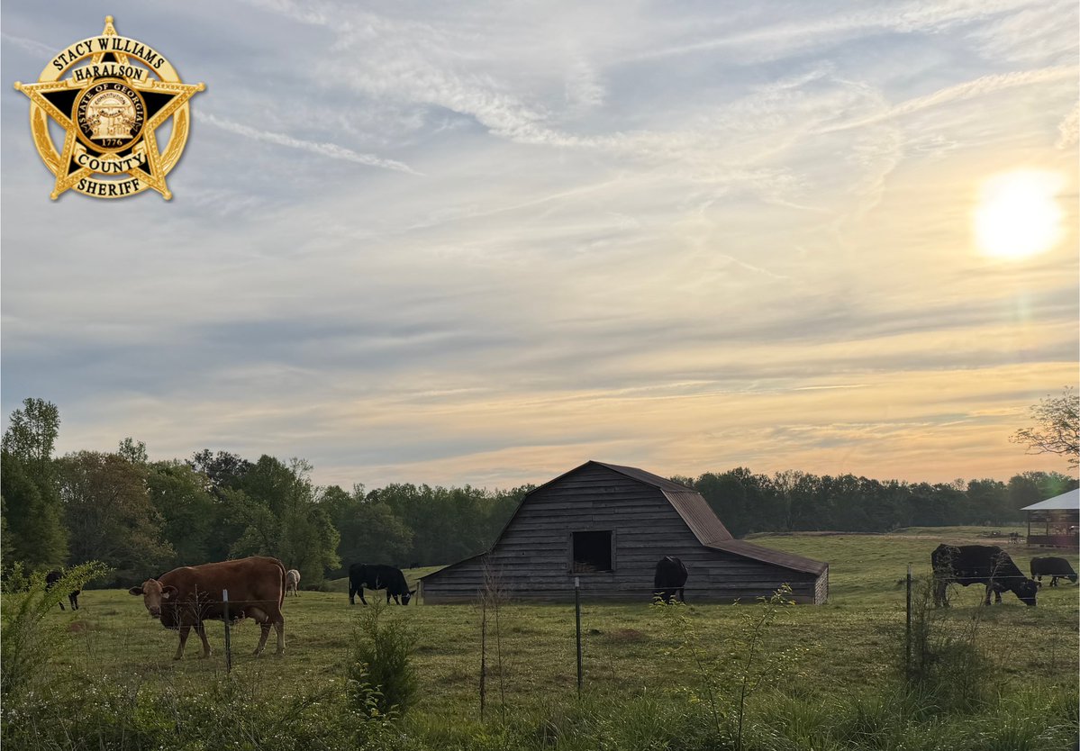 HaralsonSheriff's tweet image. Good Monday morning, Haralson. We hope y’all have a great, safe day!

“Spring is the time of plans and projects.” —Leo Tolstoy

#HaralsonMornings
#SpringInHaralson
#NewWeek
#HCSO