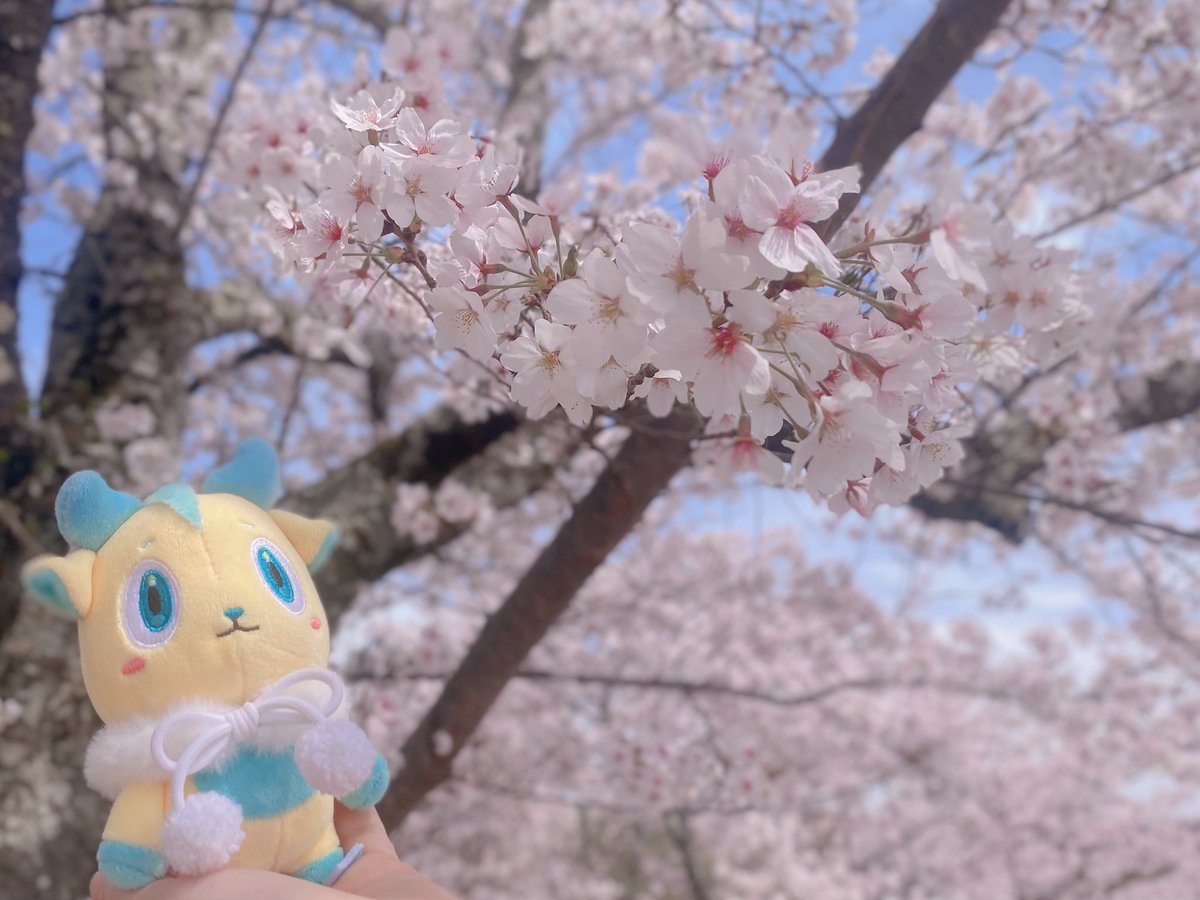 ✦︎ そねƷ ⚡︎ tweet media