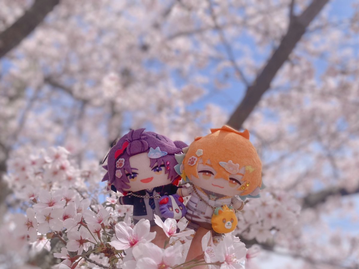 ✦︎ そねƷ ⚡︎ tweet media