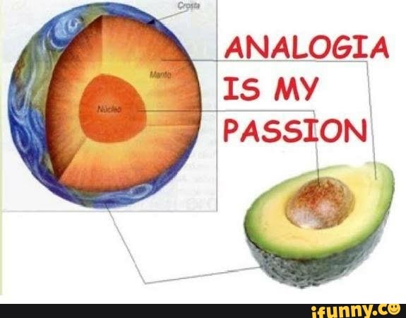 Fernando Nunes ⭐🇮🇩🧉 tweet media