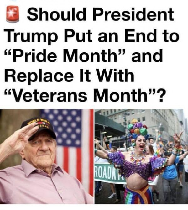 MAGA NEWS tweet media