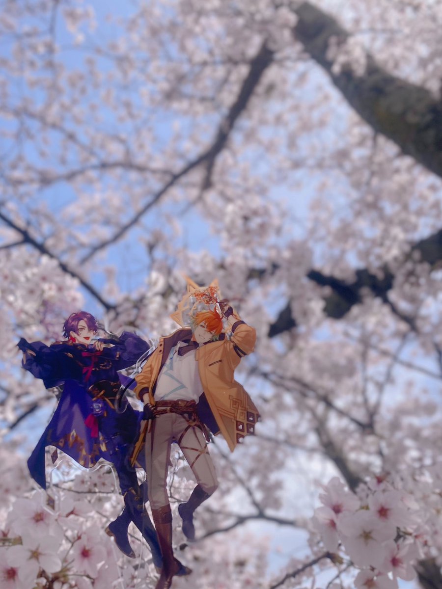 ✦︎ そねƷ ⚡︎ tweet media