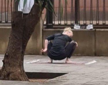 Víctor Riverola i Morera tweet media