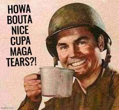 Flamingo Oblomingo 🦩 tweet media