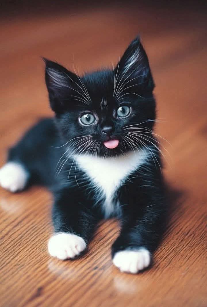 Kristina Bolten tweet media