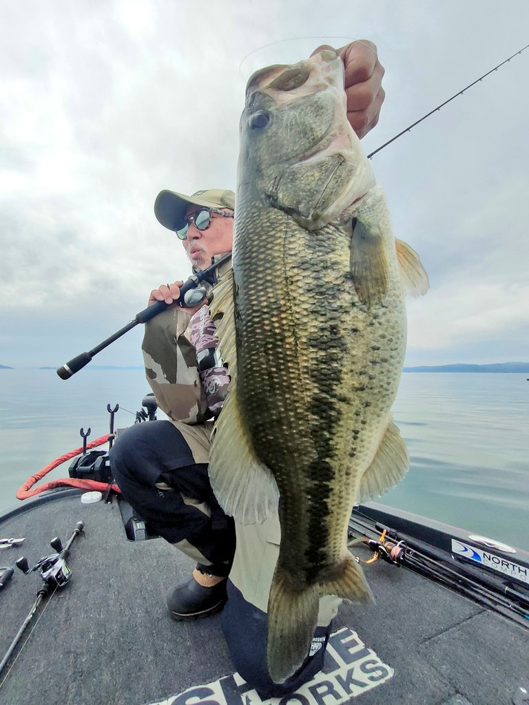 舞木雅和　モギハノン tweet media