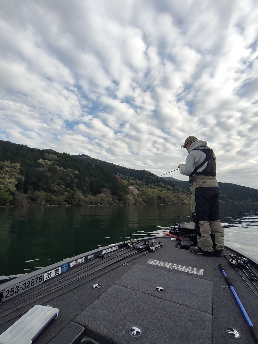 舞木雅和　モギハノン tweet media