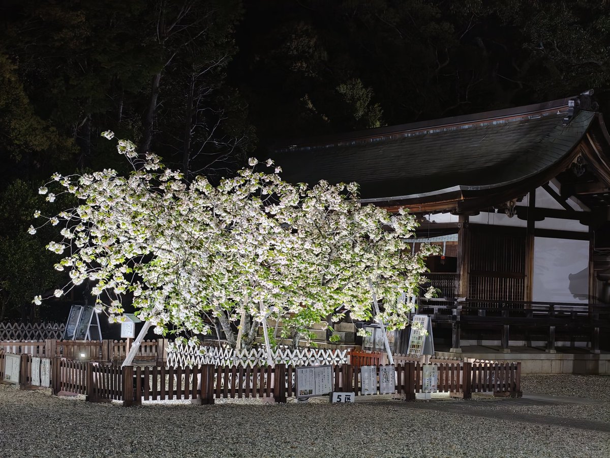 totochan tweet media