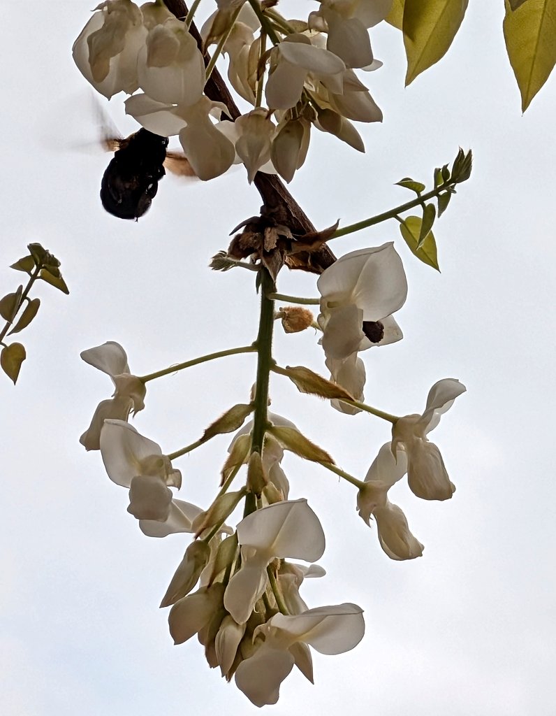 長屋の信さん🐶 tweet media