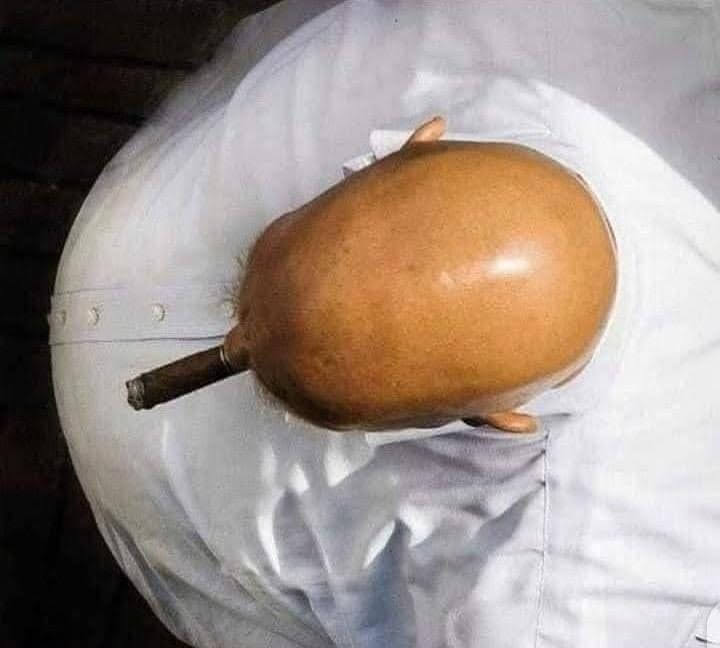 مصعب راجپوت tweet media