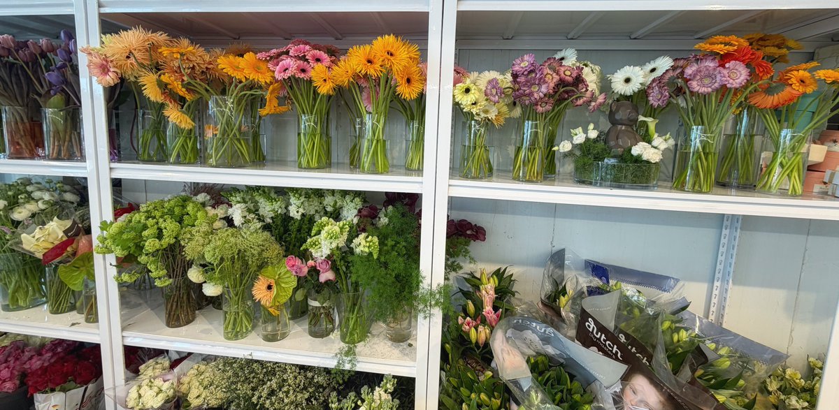 Abrar🌊 tweet media