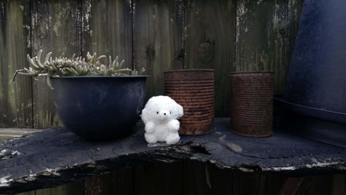 じょせまる tweet media